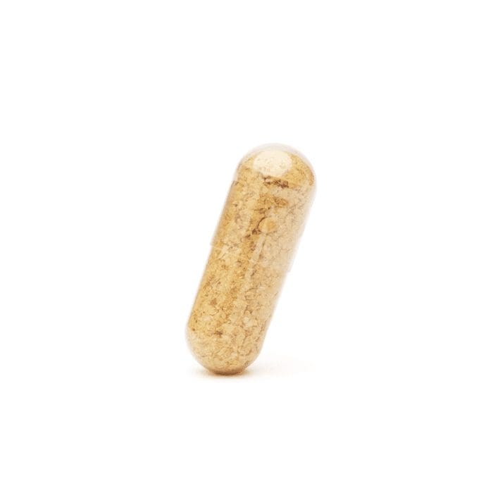 Dreamer Shrooms Amanita Muscaria Mushroom Capsules (15 Count) - Product