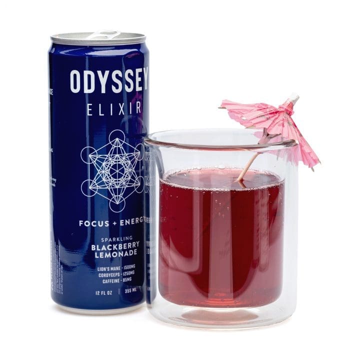 Odyssey Mushroom Focus + Energy Elixir - Sparkling Blackberry Lemonade (4 Pack) - Combo