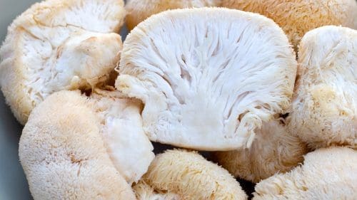 Lion's Mane Mushrooms