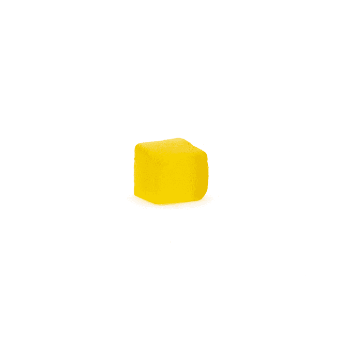 Troomy Nootropics Calm Reishi Mushroom Gummies - single
