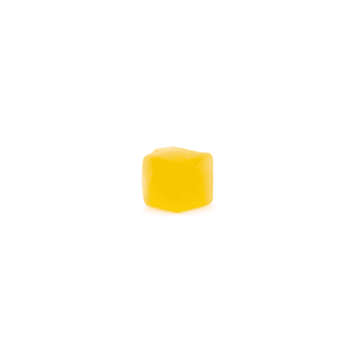 Troomy Nootropics Focus Lion’s Mane Mushroom Gummies - single