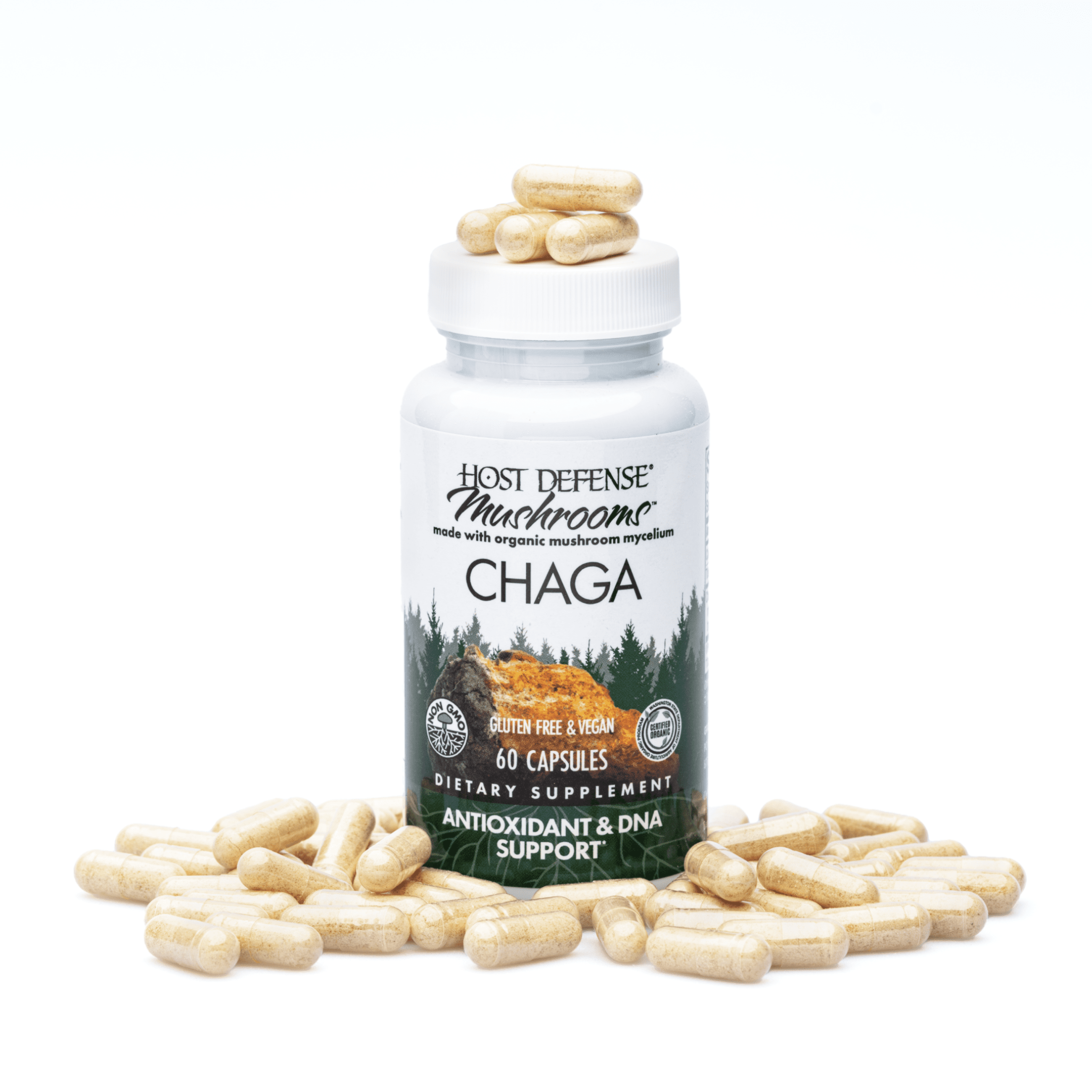 Host Defense Mushrooms Chaga Capsules (60 ct) - Detail