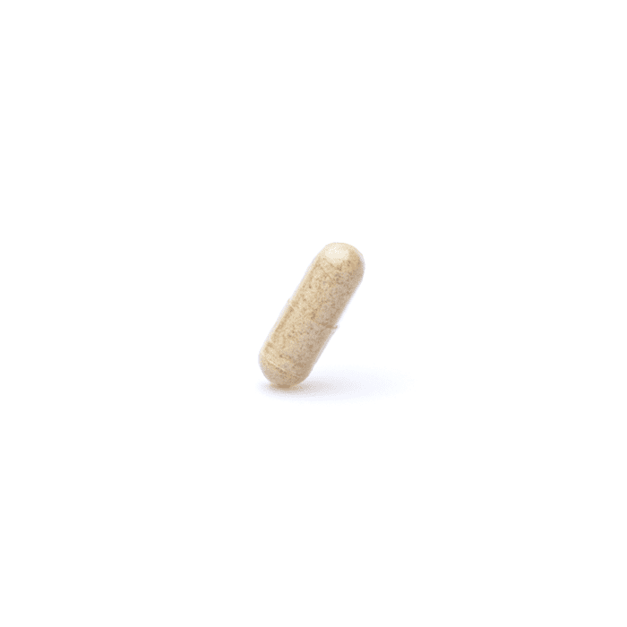 Host Defense Mushrooms Cordyceps Capsules (60 ct) - Product