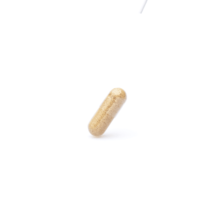 Host Defense Mushrooms Maitake Capsules (60 ct) - Detail