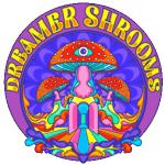 Dreamer Shrooms brand page logo
