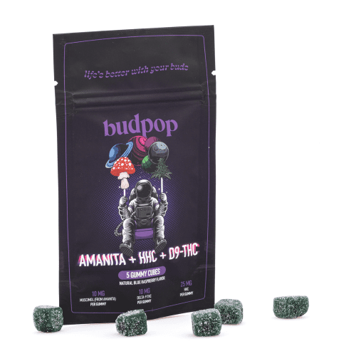 Budpop Amanita Muscaria Mushroom + HHC + Delta 9 Gummies (5 Count) - Combo