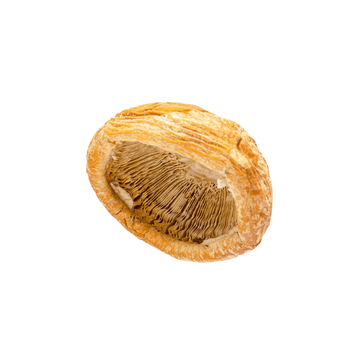 Exhale Amanita Muscaria Dried Mushrooms (28 grams) - Single