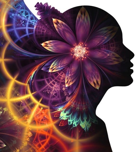 combining amanita muscaria and cannabis