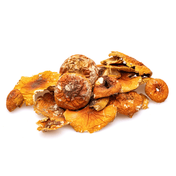 dried amanita muscaria mushrooms