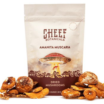 Dried Amanita Muscaria mushrooms