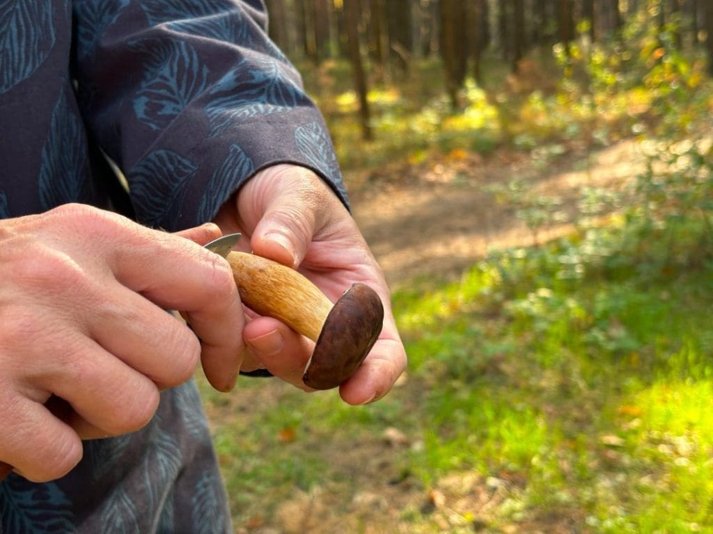 man cleaning a wild mushroom