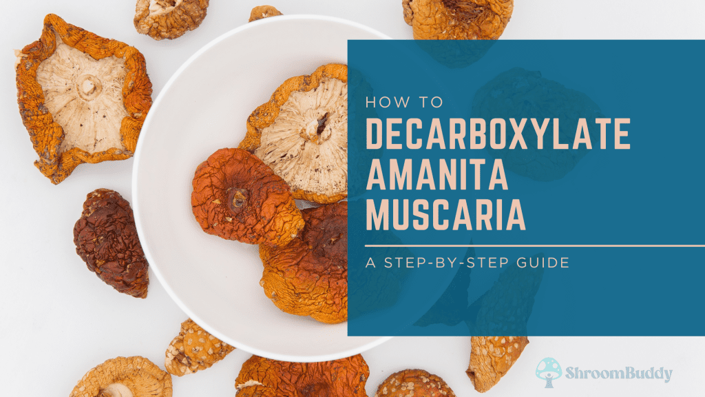 Learn how to decarboxylate amanita muscaria mushrooms with this step-by-step guide.